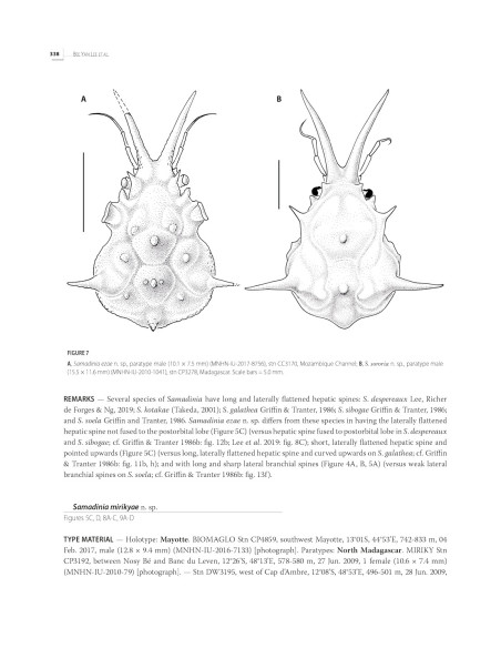Tropical Deep-Sea Benthos volume 33 - Deep-Sea Crustaceans from South-West Indian Ocean