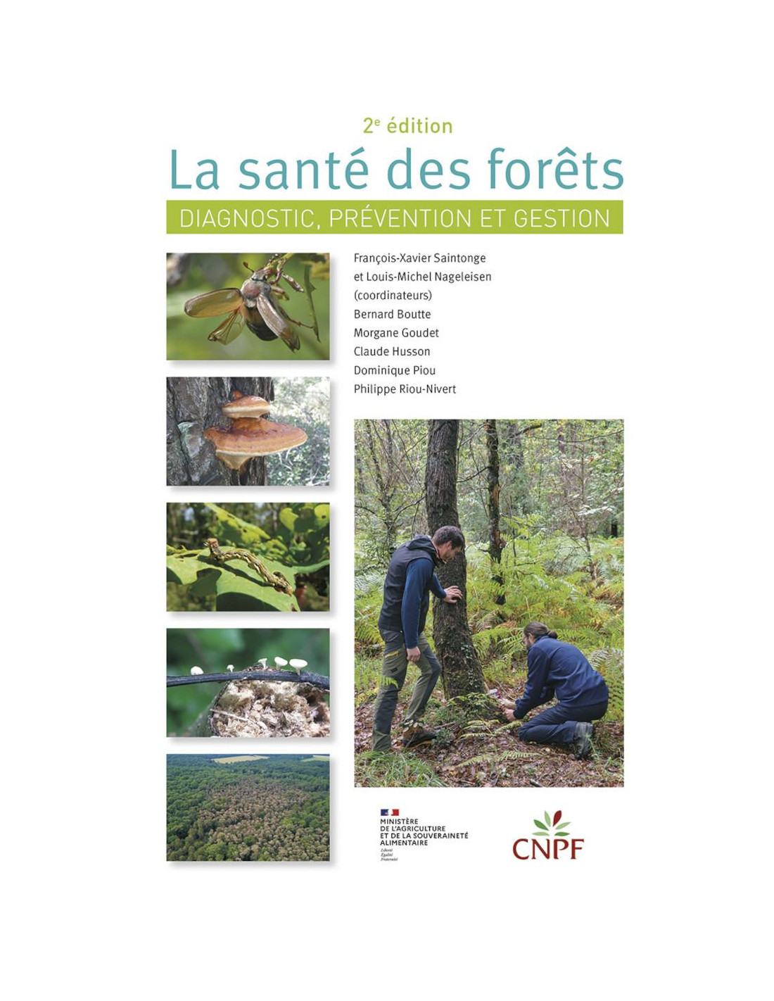 DVD] Vosges, L'appel de la forêt