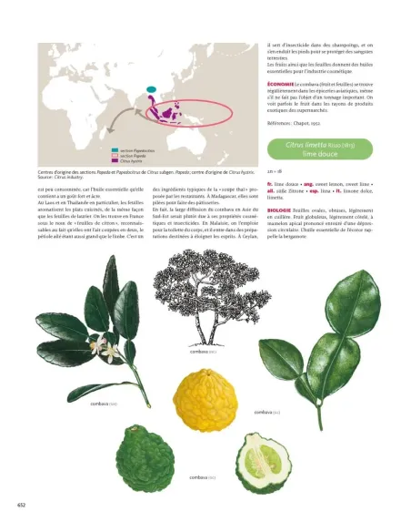 Encyclopédie des plantes alimentaires