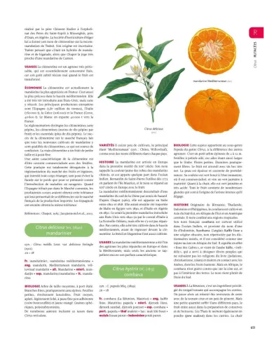 Encyclopédie des plantes alimentaires