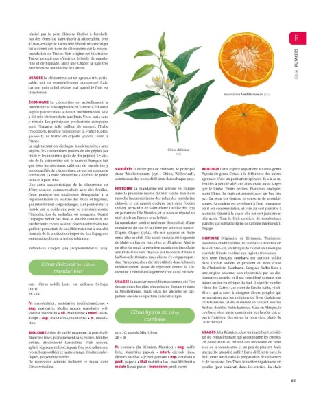 Encyclopédie des plantes alimentaires