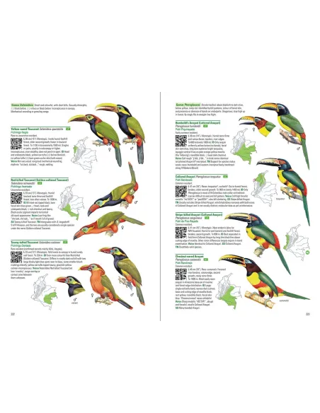 Birds of Colombia