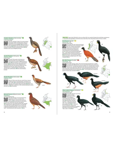 Birds of Colombia