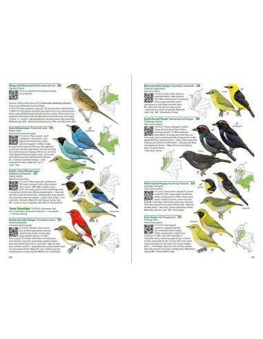 Birds of Colombia