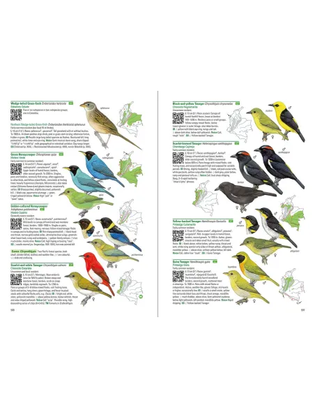 Birds of Colombia