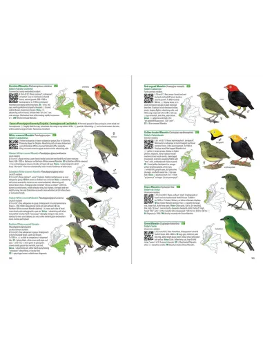 Birds of Colombia