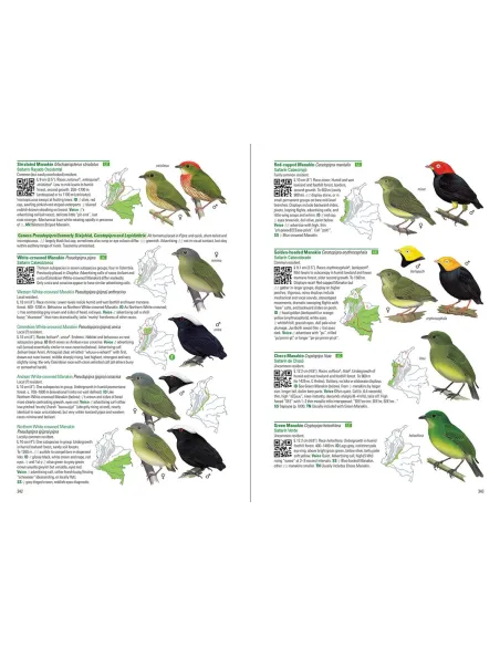 Birds of Colombia