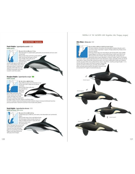 Mammals of the Southern Cone - Argentina, Chile, Paraguay, Uruguay