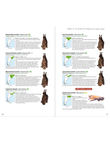 Mammals of the Southern Cone - Argentina, Chile, Paraguay, Uruguay
