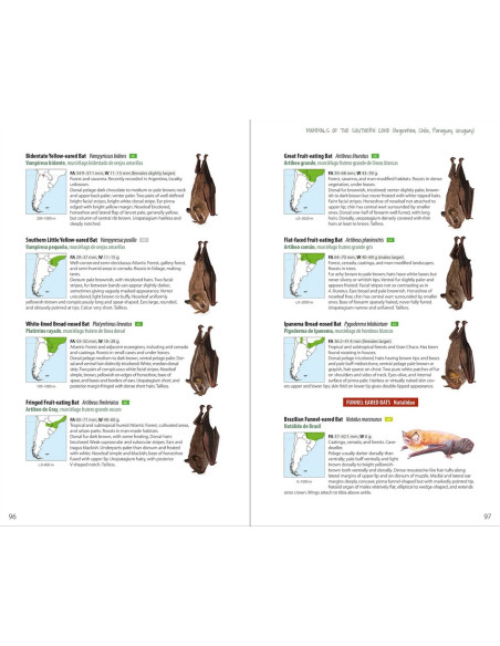 Mammals of the Southern Cone - Argentina, Chile, Paraguay, Uruguay