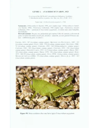 Criquets de France (Orthoptera...