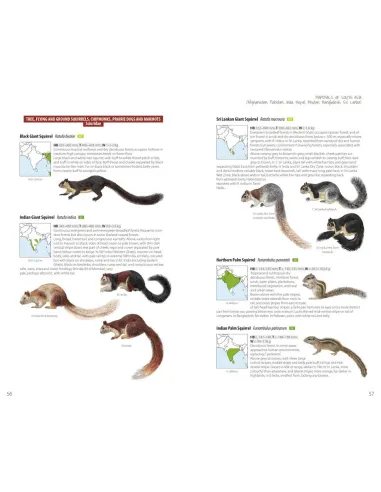 Mammals of South Asia - Afghanistan, Pakistan, India, Nepal, Bhutan, Bangladesh, Sri Lanka