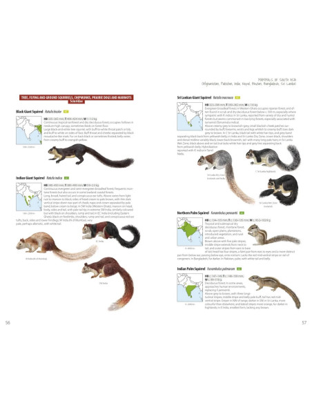 Mammals of South Asia - Afghanistan, Pakistan, India, Nepal, Bhutan, Bangladesh, Sri Lanka
