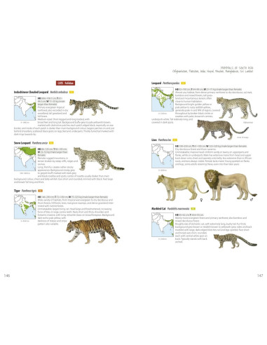 Mammals of South Asia - Afghanistan, Pakistan, India, Nepal, Bhutan, Bangladesh, Sri Lanka