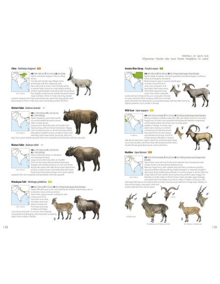 Mammals of South Asia - Afghanistan, Pakistan, India, Nepal, Bhutan, Bangladesh, Sri Lanka