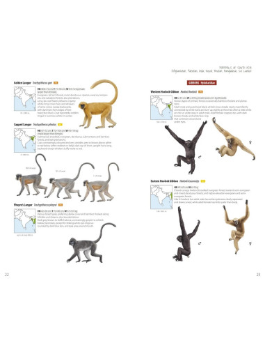 Mammals of South Asia - Afghanistan, Pakistan, India, Nepal, Bhutan, Bangladesh, Sri Lanka