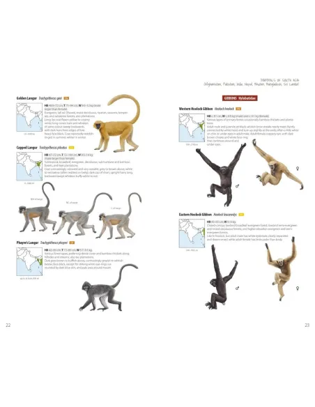 Mammals of South Asia - Afghanistan, Pakistan, India, Nepal, Bhutan, Bangladesh, Sri Lanka