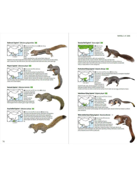 Mammals of China