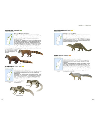 Mammals of Madagascar