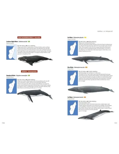 Mammals of Madagascar