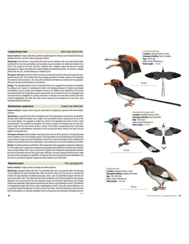 Birds of the Mesozoic - An...