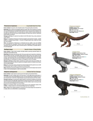 Birds of the Mesozoic - An...