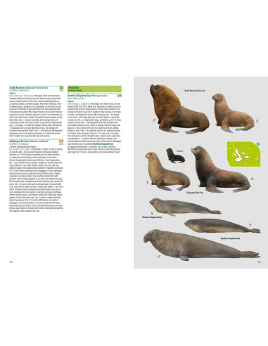 Birds and Mammals of the Galapagos