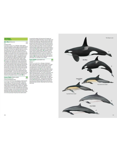 Birds and Mammals of the Galapagos