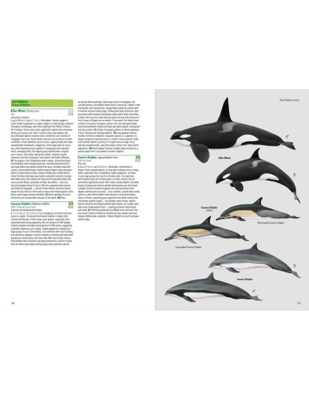 Birds and Mammals of the Galapagos