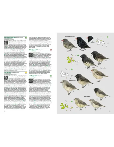 Birds and Mammals of the Galapagos