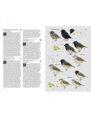 Birds and Mammals of the Galapagos