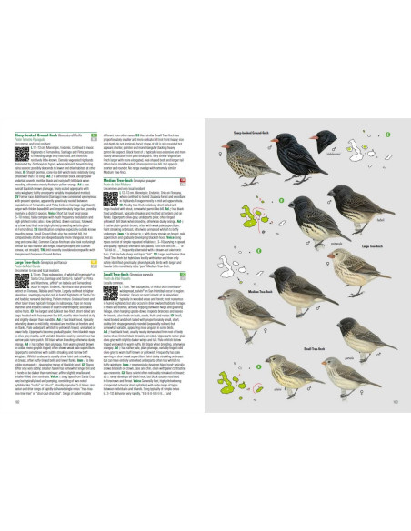 Birds and Mammals of the Galapagos