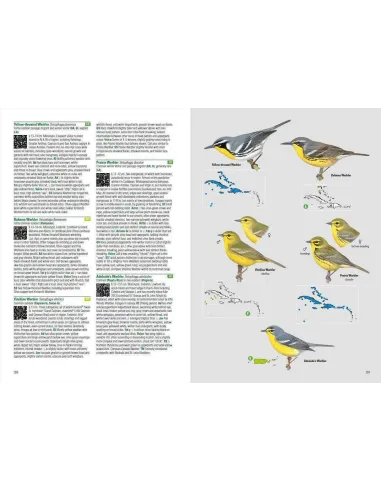 Birds of the West Indies