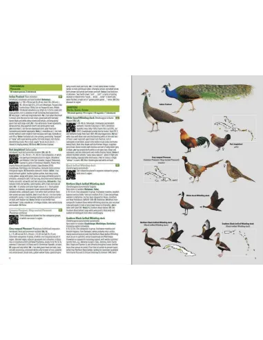 Birds of the West Indies