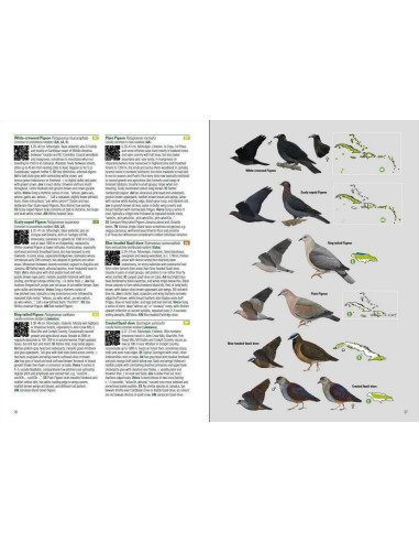 Birds of the West Indies