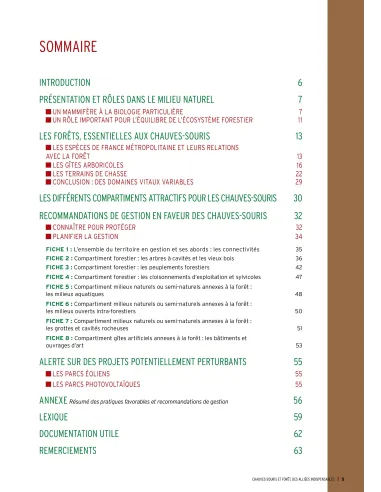 Chauves-souris et forêt