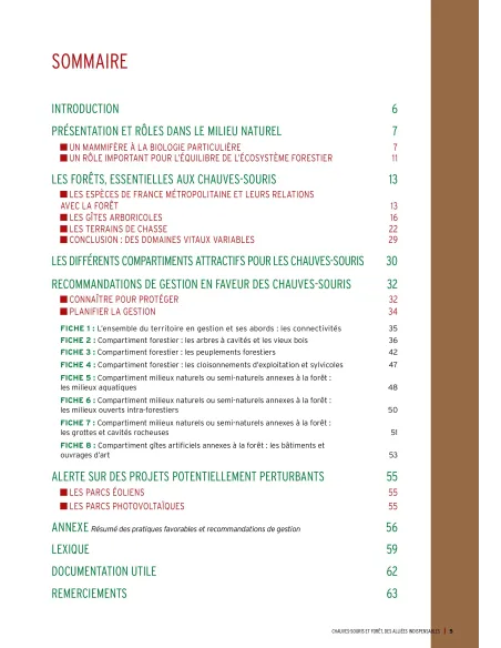 Chauves-souris et forêt