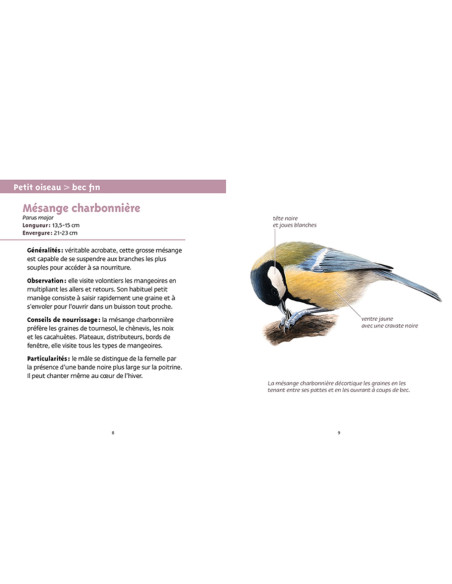 Les petits livres de la nature - Oiseaux des mangeoires