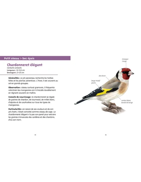 Les petits livres de la nature - Oiseaux des mangeoires