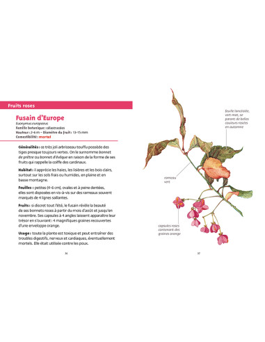 Les petits livres de la nature -...