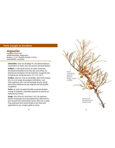 Les petits livres de la nature - Baies et petits fruits