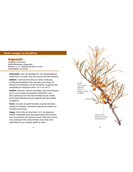 Les petits livres de la nature - Baies et petits fruits