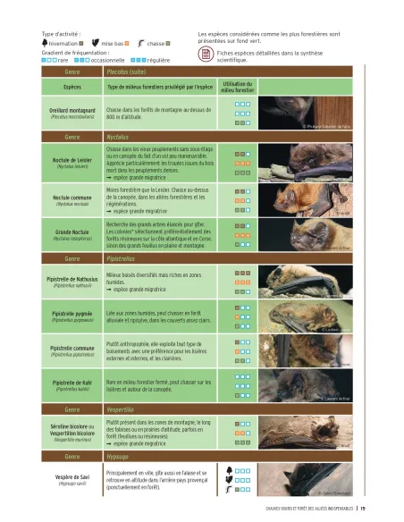 Chauves-souris et forêt - Des alliées indispensables