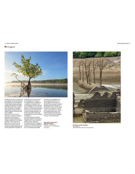 Arbres remarquables des Côtes-d'Armor