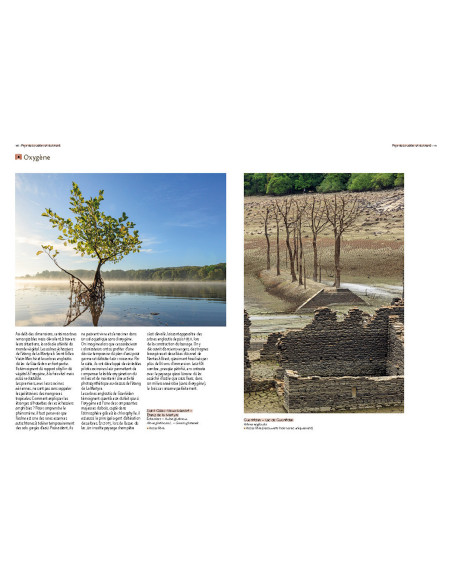 Arbres remarquables des Côtes-d'Armor