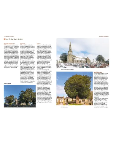 Arbres remarquables des Côtes-d'Armor