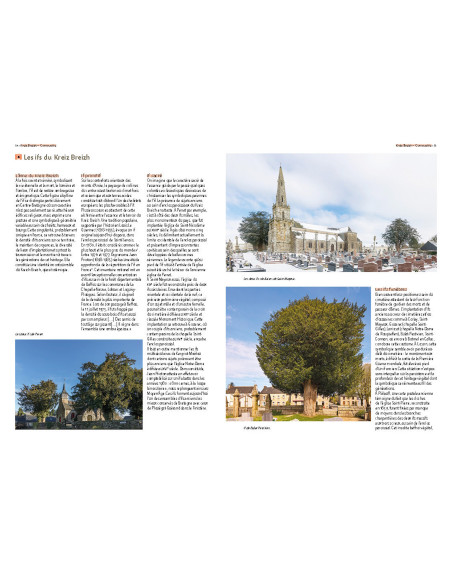 Arbres remarquables des Côtes-d'Armor