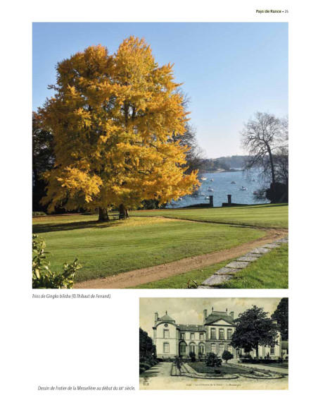 Arbres remarquables d'Ille-et-Vilaine