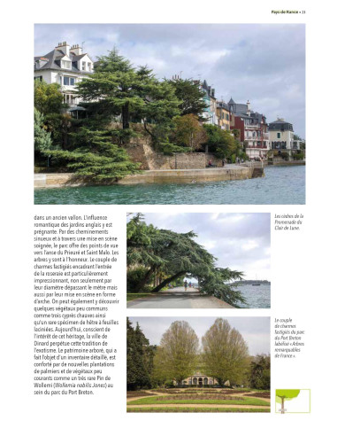 Arbres remarquables d'Ille-et-Vilaine