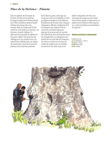 Arbres remarquables de Loire-Atlantique